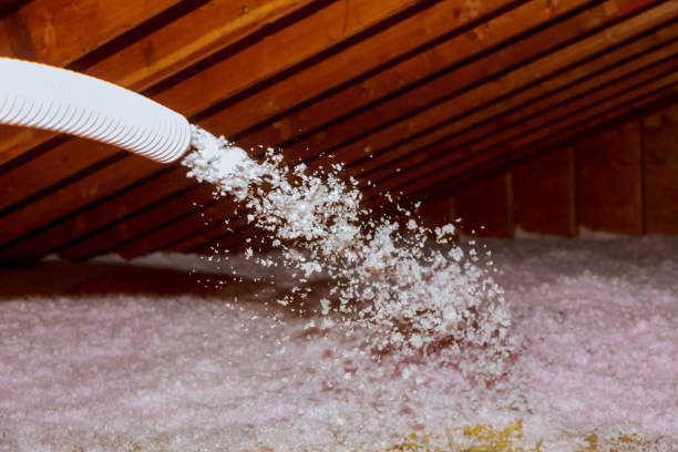 Best Home Insulation Services  in Rosemont, IL