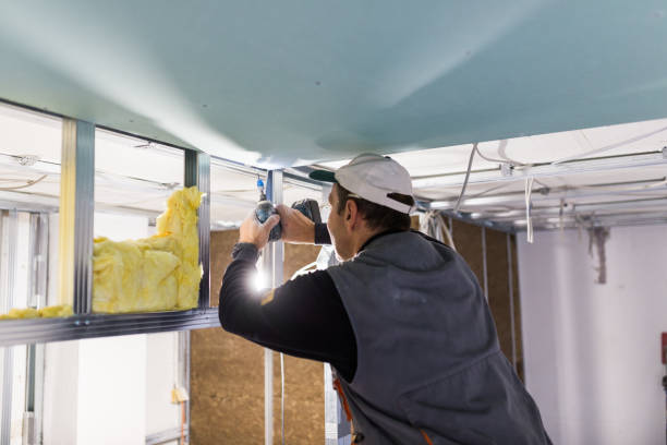 Best Insulation Removal  in Rosemont, IL