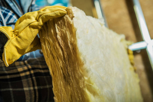 Best Insulation Replacement Services  in Rosemont, IL