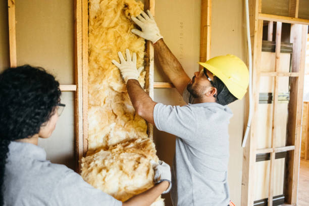 Insulation Repair Services in Rosemont, IL