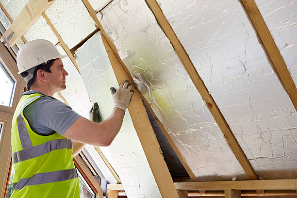 Best Blown-in Insulation  in Rosemont, IL