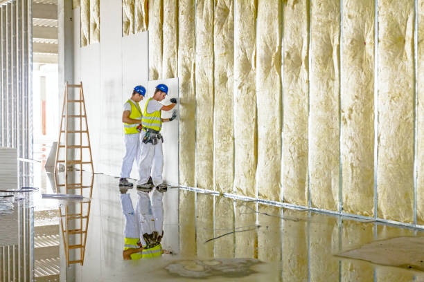 Best Insulation Repair Services  in Rosemont, IL